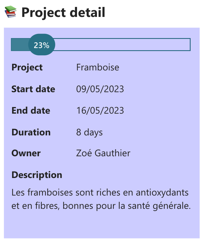 Détail du projet sur la droite